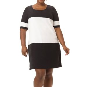 Junarose Dress NEW Color Block Size 20